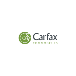 Logo Carfax 300px - 300px