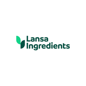 Logo Lansa 300px - 300px