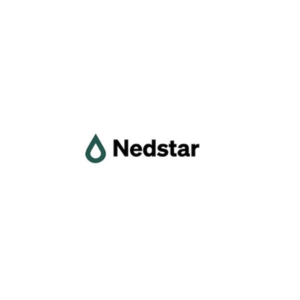 Logo Nedstar 300px - 300px